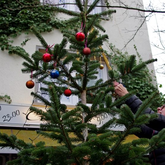 Weihnachtsbaum CafeT 2019 H_Jost