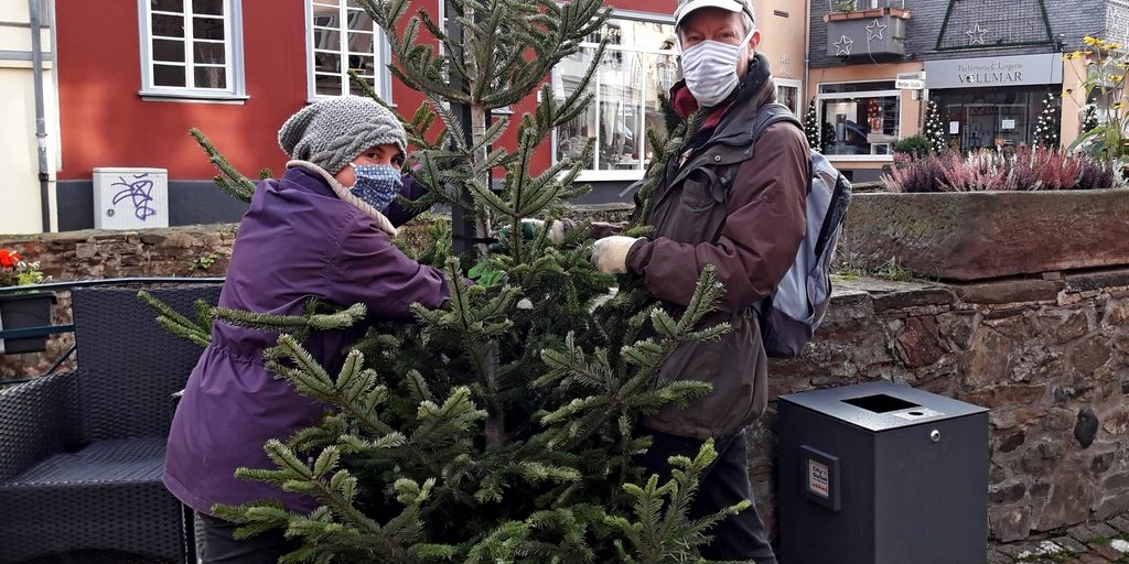 Weihnachtsbäume2020_cr